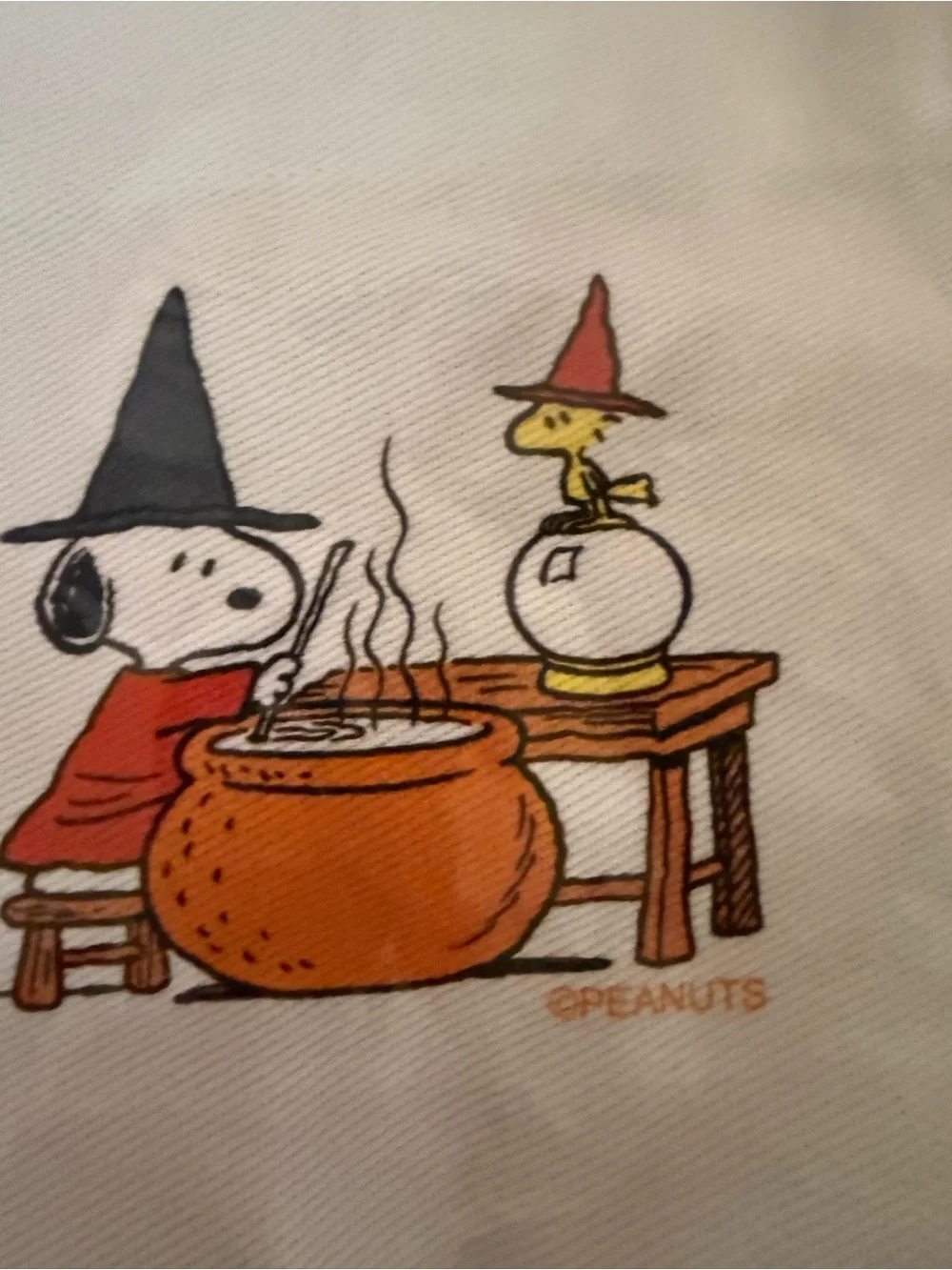 New Williams Sonoma Halloween Peanuts Kids Apron
